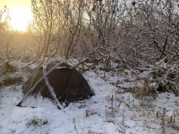 Brown Bear Hunting on Kodiak